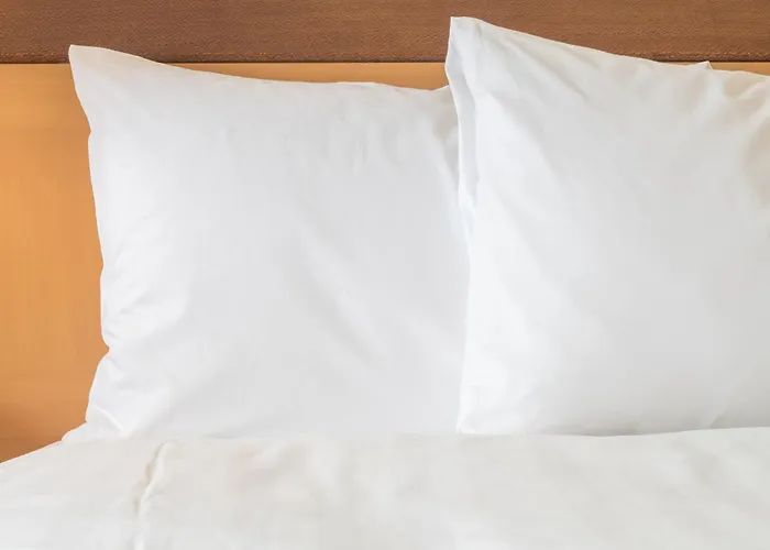 Worth - Alliance By Ihg Hotel 3*